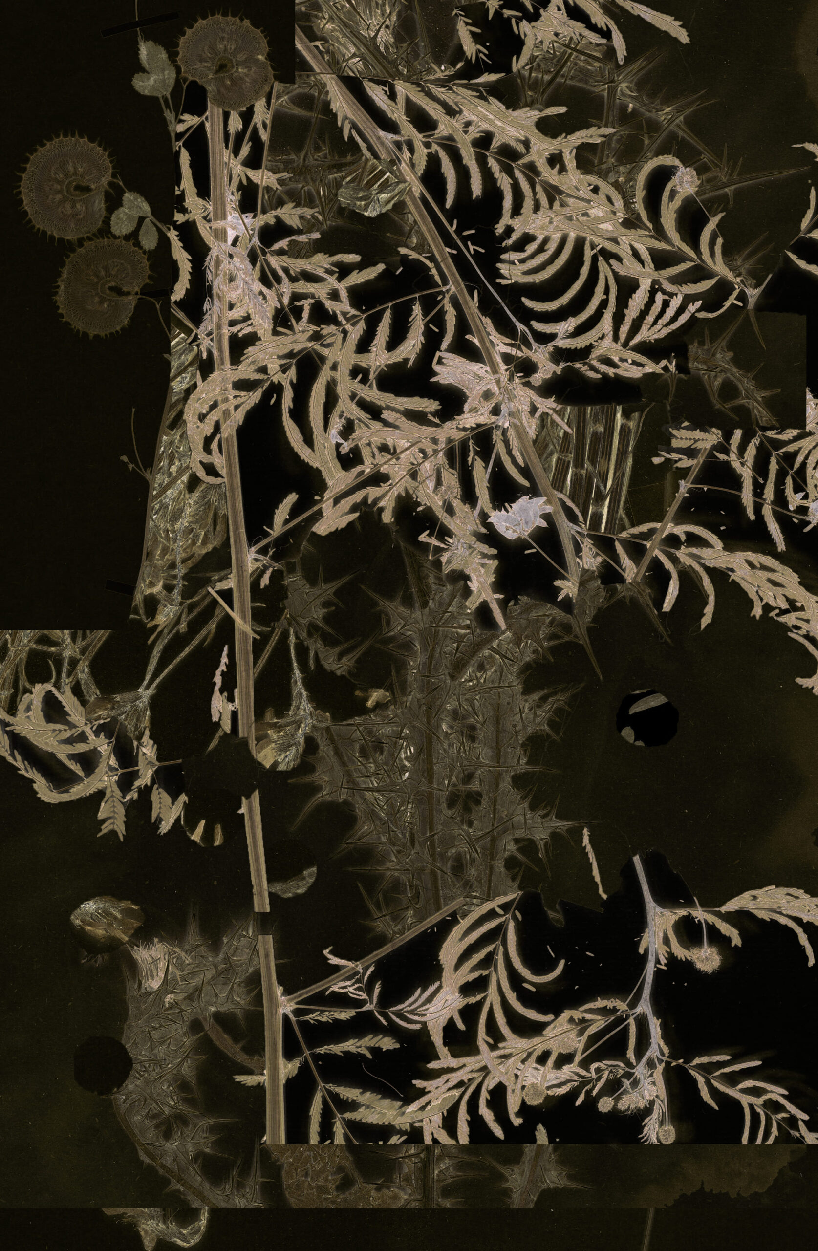 6.